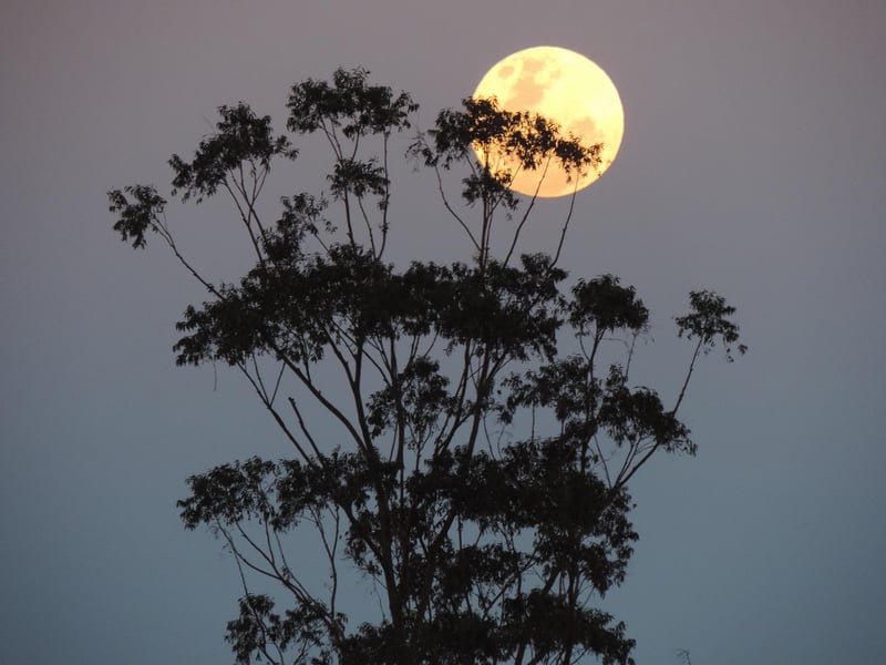 Supermoon
